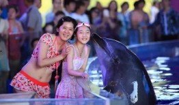 世界爆料大王徐大宝视频,世界爆料大王视频背后的惊人真相